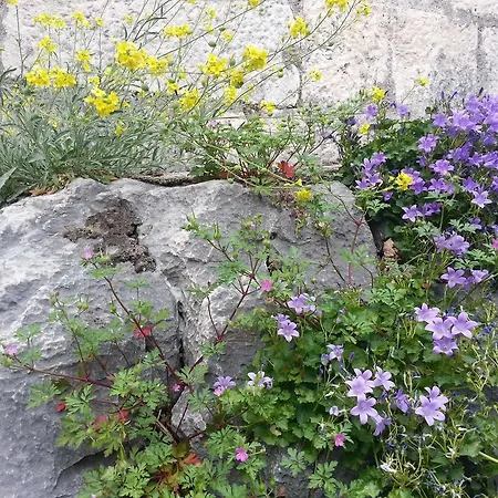 Paradise * Шибеник