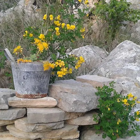 Дом отдыха Paradise Шибеник