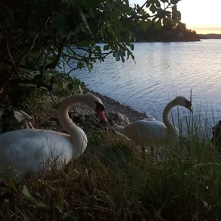 Paradise シベニク