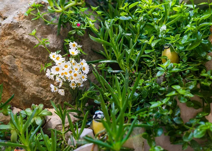 Paradise Σπίτι διακοπών